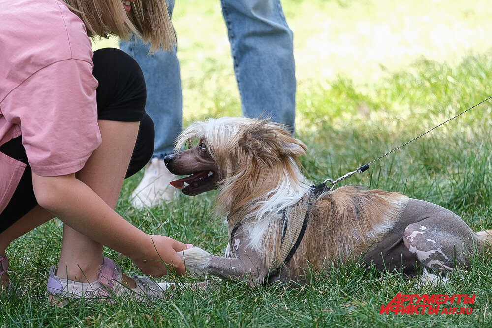    Фото:  АиФ/ Виктор Михалёв
