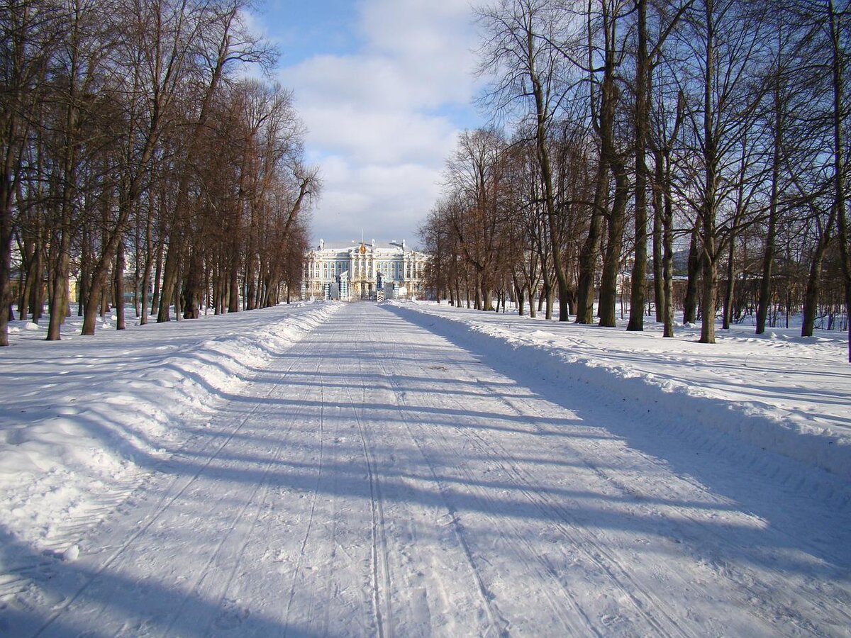 Вид на Екатерининский дворец из Александровского парка