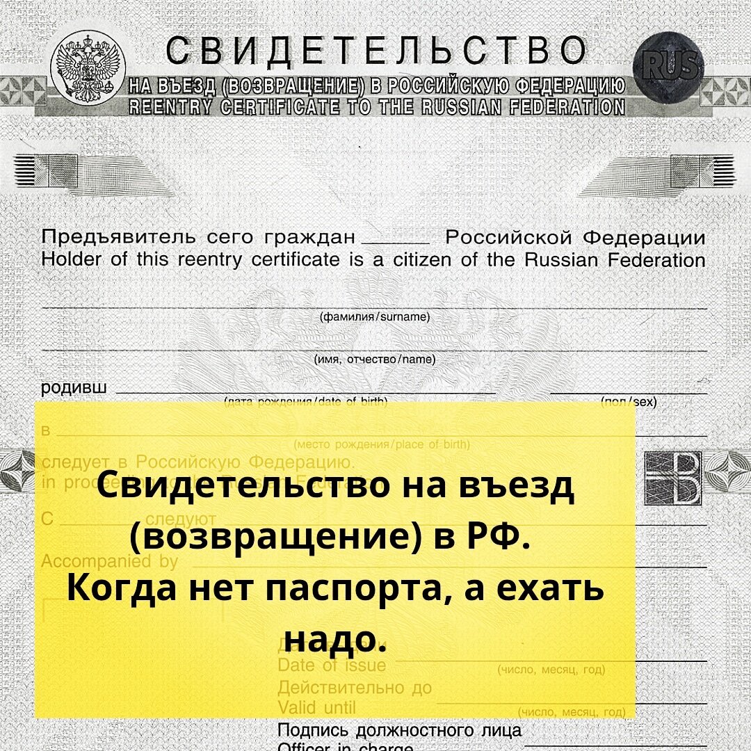 ⚠️Свидетельство на въезд (возвращение) в РФ. Когда нет паспорта, а ехать  надо. | Ольга о Египте 🇪🇬 и не только | Дзен