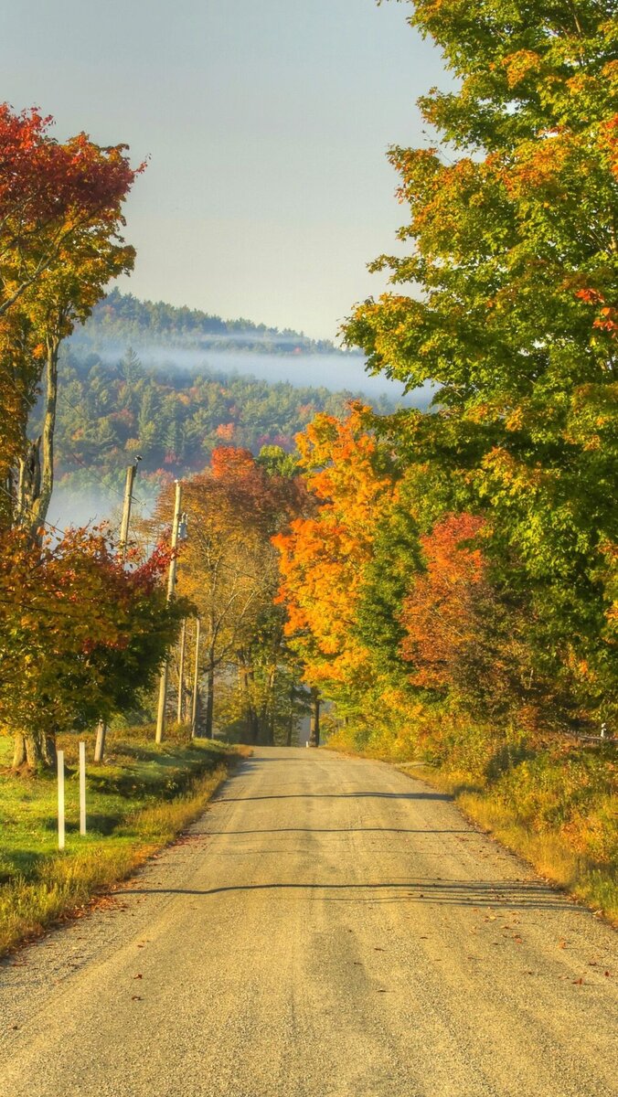 А вы знаете как пахнет осень?  Яблоками!
        Выходишь утром на улицу, и  чувствуешь такой тонкий аромат яблок, сладковато- пряный , нежный ,освежающий. 
   Неслышно громкого щебета птиц. На траве ни капли росы как летом , а белый водяной покров похожий на иней. Запах костров не удушающий как весной . Дым пахнет вишней. 
   Листья на  деревьях зрелые,толстые, уставшие. 
А какое разнообразие красок! 
 Будто кто- то неловкий задел банки с красками , и вот они медленно разливаются,вытекают , окрашивая вокруг все от темно -зеленого до оранжевого. И с каждым днем этот желтый покрывает все большую площадь. 
 Осень неспеша ,даже лениво , заполняет все вокруг.
 Лучи солнца не обжигают, а нежно , ласково греют. 
И мы наслаждаемся этим теплом.
 Сквозь листву горделиво  выглядывают гроздья рябины и калины. Отцветают астры , стойко сопротивляясь ночному холоду.
 Дождь холодный ,затяжной . 
 И воздух ... утром он свежий , пропитанный влагой , днем чистый без пыли .
 Природа   неспеша, обстоятельно, как хороший хозяин готовится к зиме.
А мы все бежим, не видя этой красоты.
 Перелистываем находу календарь - лето,осень,зима,весна...
 Вот так и я жила , спешила .
 Сейчас  как- будто заново познаю мир. Знаете ощущение такое ,что долгое время была в коме, а теперь выхожу из нее и оказывается столько нового и интересного вокруг , незамеченного...

