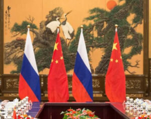    Фото: council.gov.ru Анна Норкина