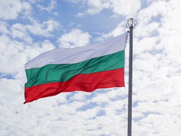   © Image by Виктор Сапожников from Pixabay