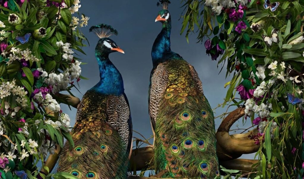    Фото: Joseph McGlennon