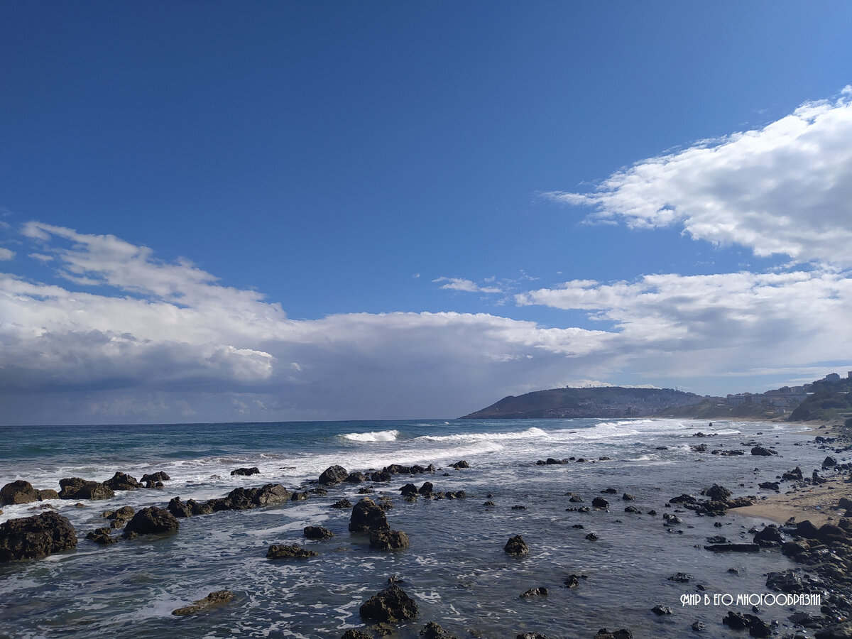 Словно на берегу Атлантического океана