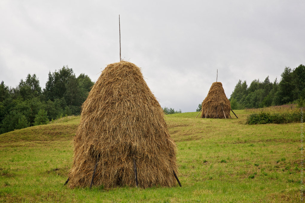 Яндекс.Картинки