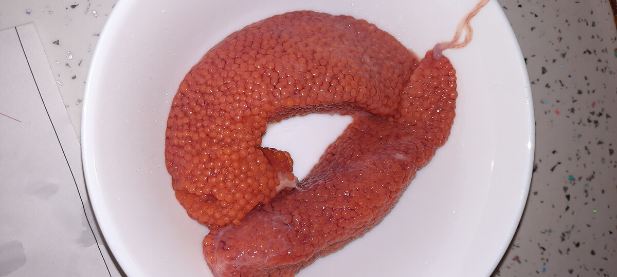 И такой вот сюрприз!