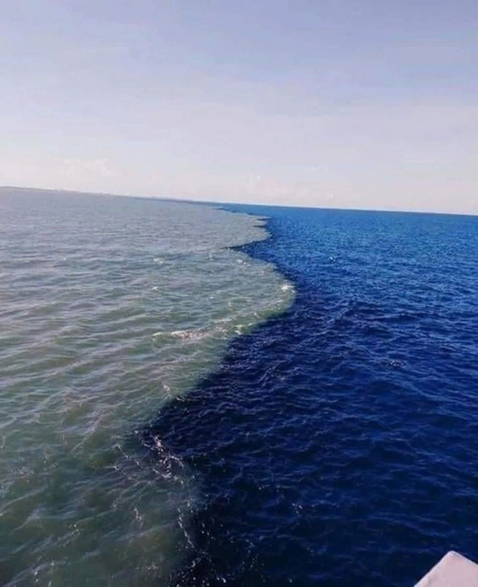 Разделения моря