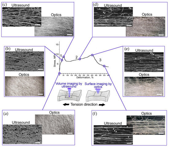 Микроструктура волокнистого материала при разной степени растяжения: (а) без деформации, (b) при растяжении на 30% исходной длины, (с) на 50%, (d) на 250%, (e) на 400%, (f) на 550%. Источник: Khramtsova et al. / Polymers, 2022