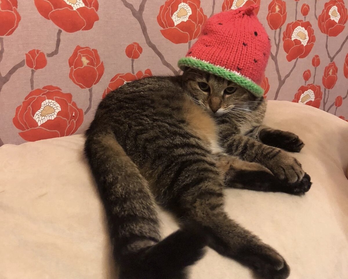 -2