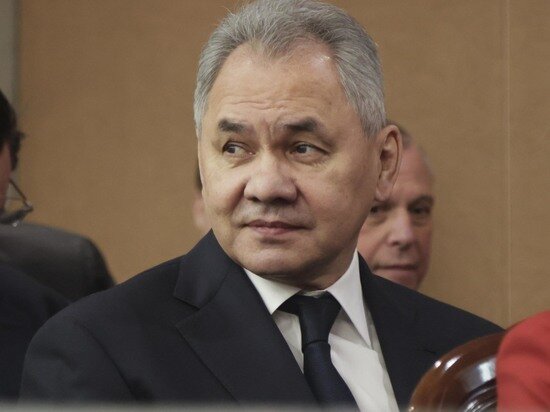     Сергей Шойгу. Наталия Губернаторова