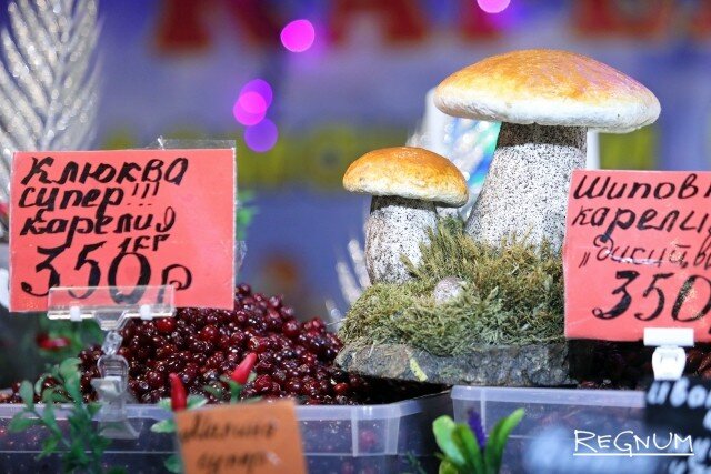    Клюква Дарья Драй © ИА REGNUM