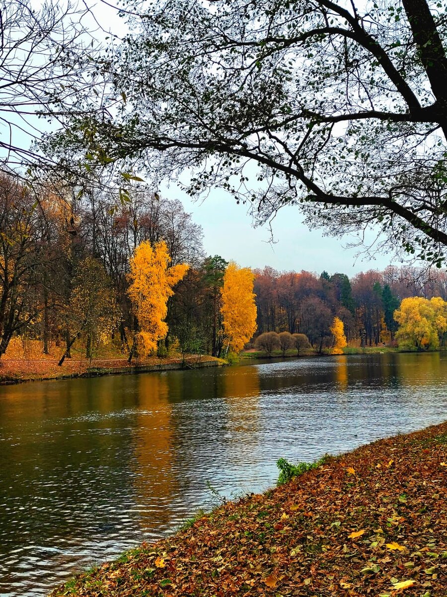 Фото Обида Даутова