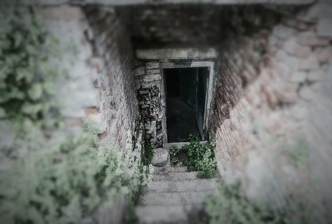 фото из общего доступа