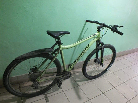     фото Пресс-службы УМВД России по Архангельской области