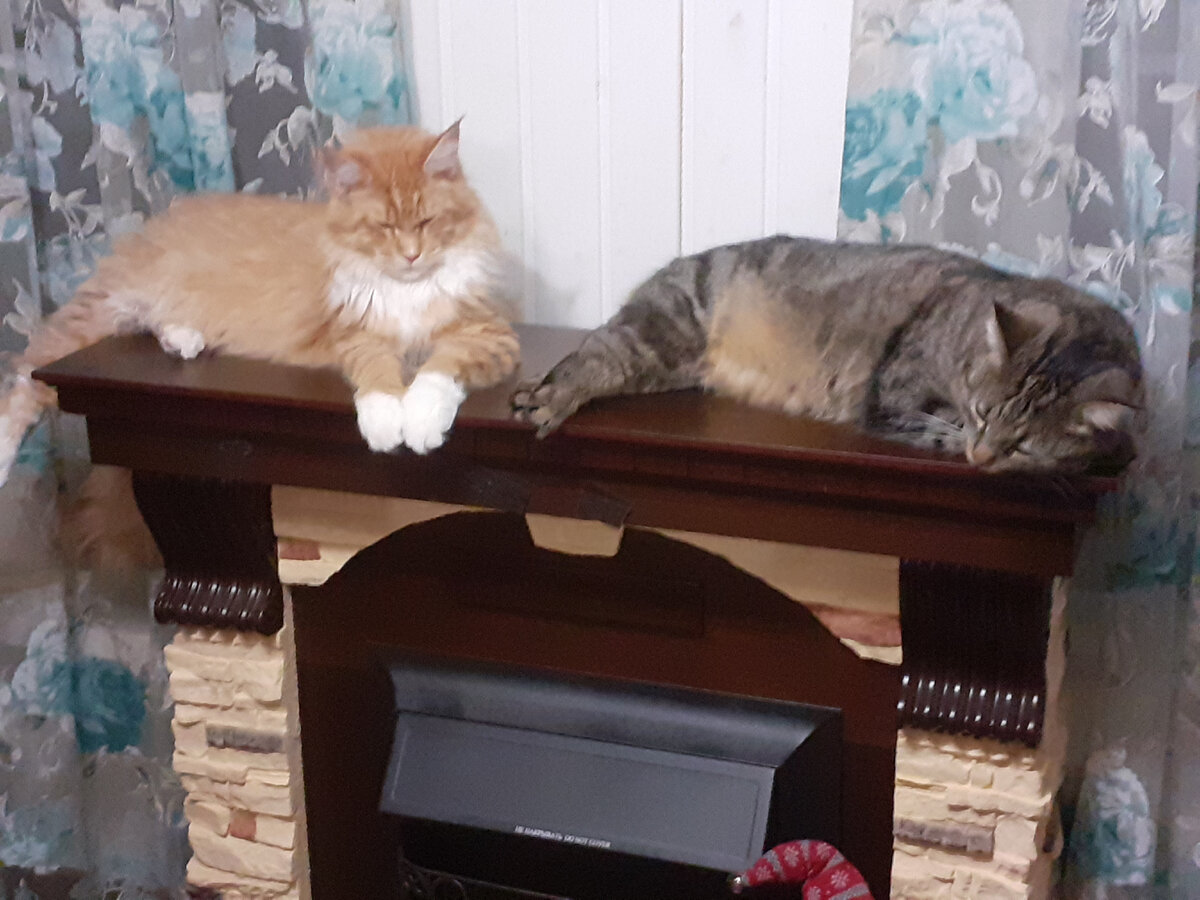 Мои любимые