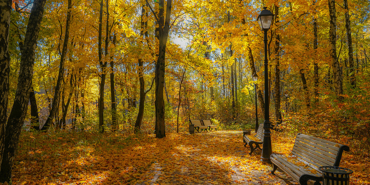 Моя любимая ОСЕНЬ...