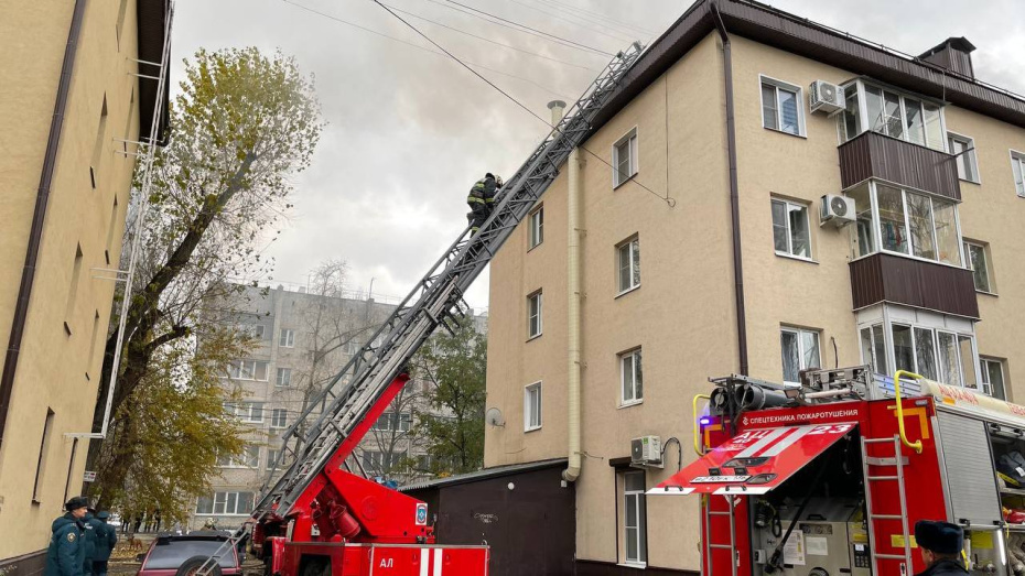   Автор фото: пресс-служба ГУ МЧС по Воронежской области