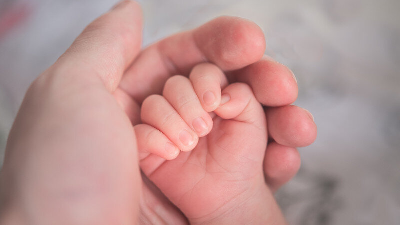     Родитель и ребенок. Родительство. https://unsplash.com/