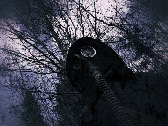   pixabay.com