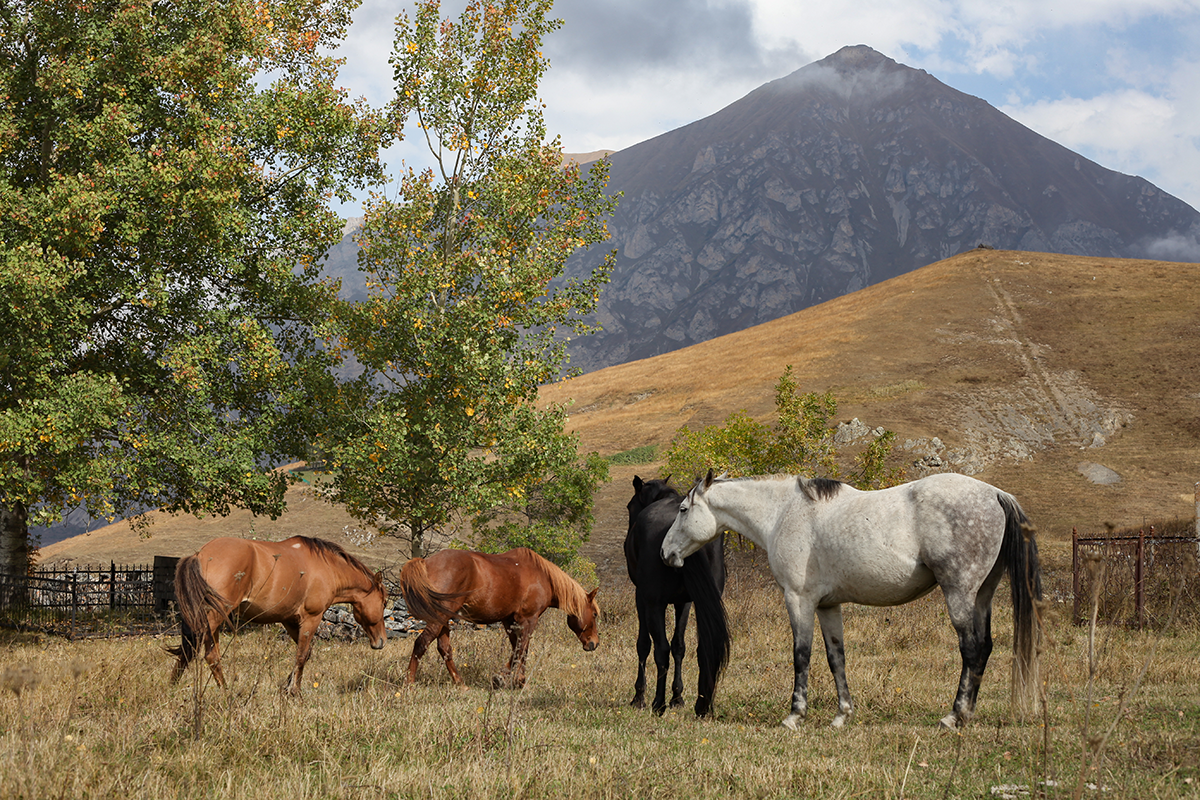 Фото: Ольга Юнашева 
