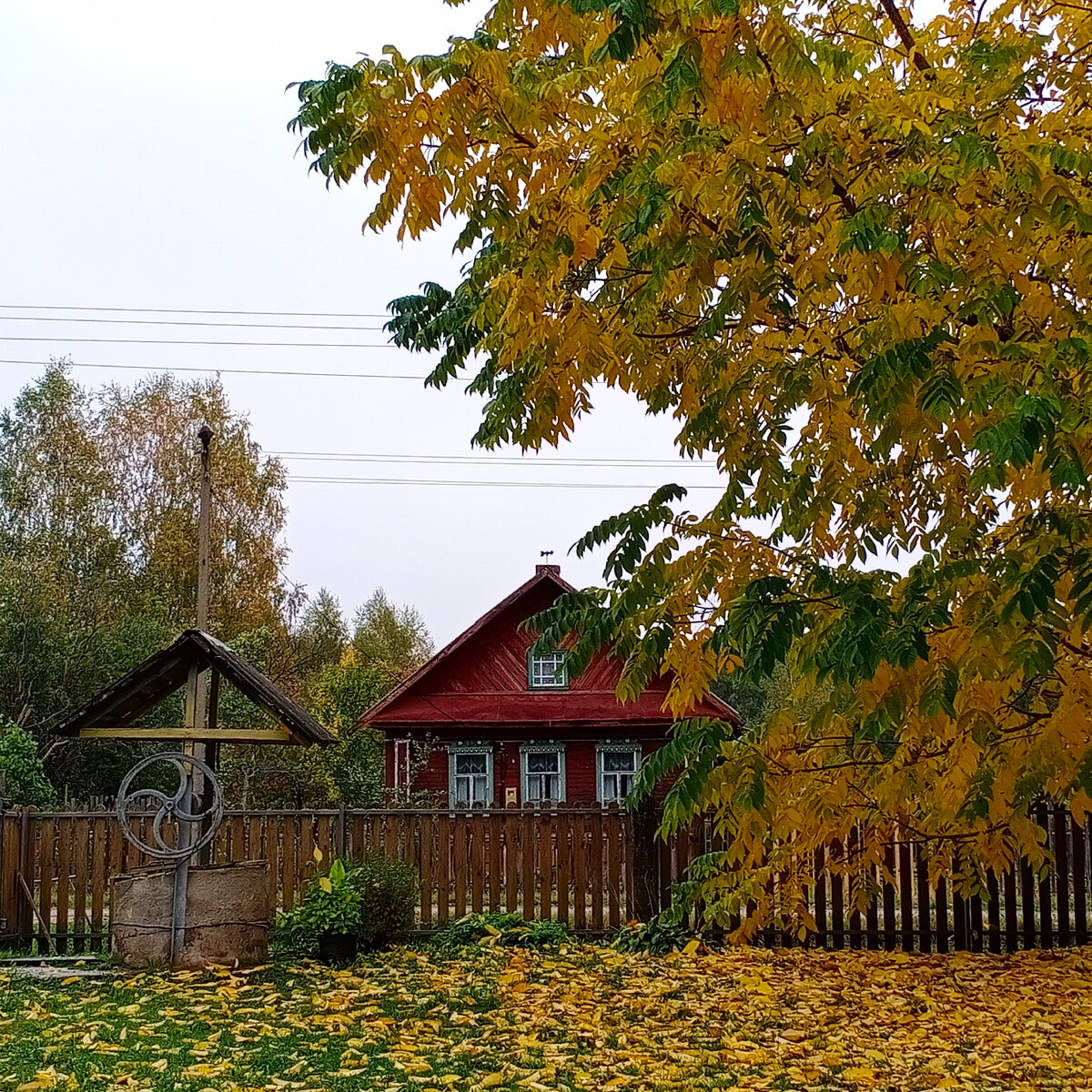 Пасмурный осенний день 