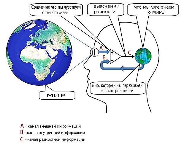 Рис. 1 из статьи «Преодоление неопределенности» https://zen.yandex.com/media/the_world_is_not_easy/preodolenie-neopredelennosti-5ed5041881ae8816561ea89f
канал А включает: зрение, слух, голос, обоняние, тактильность,..
канал В включает: жизнеобеспечение, память,...
канал С включает: разность А-В.
варианты объяснения причин состояния организма  :
-"кома" возможно канал С не функционирует,
-"овощь" возможно канал В (кроме двигательных функций) не функционируют,
-"потери памяти" возможно канал В память не функционируют,
-"генерация" канал А заменяют сигналом в область удовольствия мозга , см. статью "Смерть от удовольствия, или удовольствие быть крысой" (https://nerovnyh.net/%D1%81%D0%BC%D0%B5%D1%80%D1%82%D1%8C-%D0%BE%D1%82-%D1%83%D0%B4%D0%BE%D0%B2%D0%BE%D0%BB%D1%8C%D1%81%D1%82%D0%B2%D0%B8%D1%8F-%D0%B8%D0%BB%D0%B8-%D1%83%D0%B4%D0%BE%D0%B2%D0%BE%D0%BB%D1%8C%D1%81%D1%82/), или наркотиками , алкаголем.
В обычном состоянии канал В в основном настроен на потребление и удовлетворение его