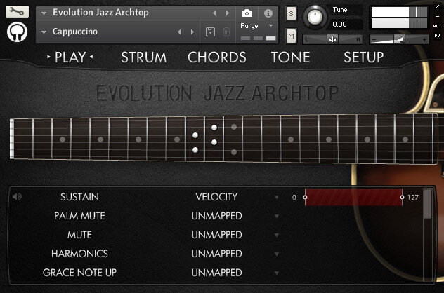 Orange vst. Evolution Jazz Archtop. Orange VST Guitar. Orange Tree Samples Evolution. Evolution Guitar.