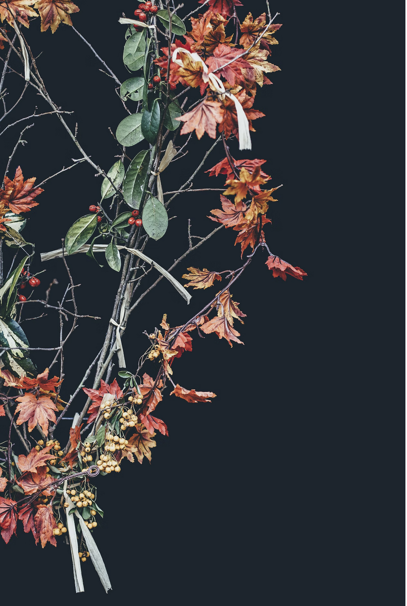 Фото unsplash.com