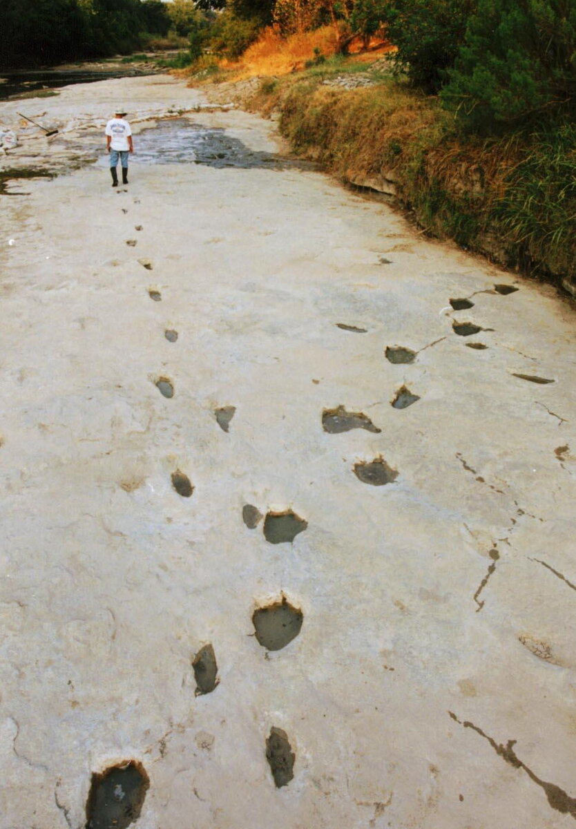 Люди вообще могли жить в одно время с динозаврами.
Источник фото: https://sun9-6.userapi.com/s/v1/ig2/jgKR2wZJjYlZuT_9HSrl3i8cns-PArayVn-oaTXa9iIyyk_rauvjnet5QRLQW3TYI0ebIrcrR7yqyd0WaYS34HCx.jpg?size=968x1588&quality=95&type=album