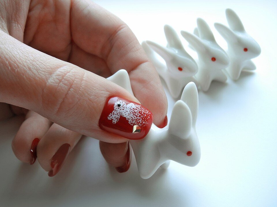       Yana Bo/stock.adobe.com