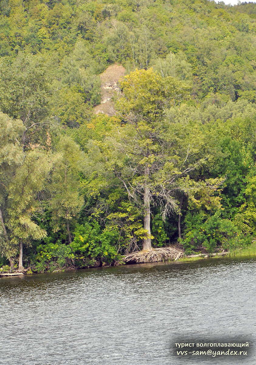 Фото 06.09.2022.