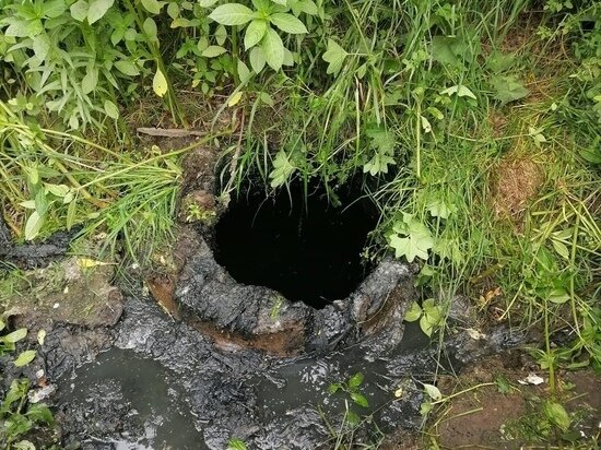   Ксения Сорокина