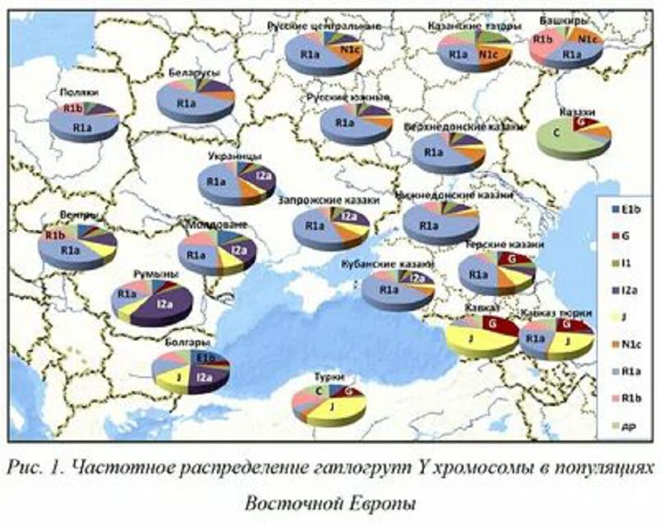 Генетика казаков. Иллюстрация из открытых источников