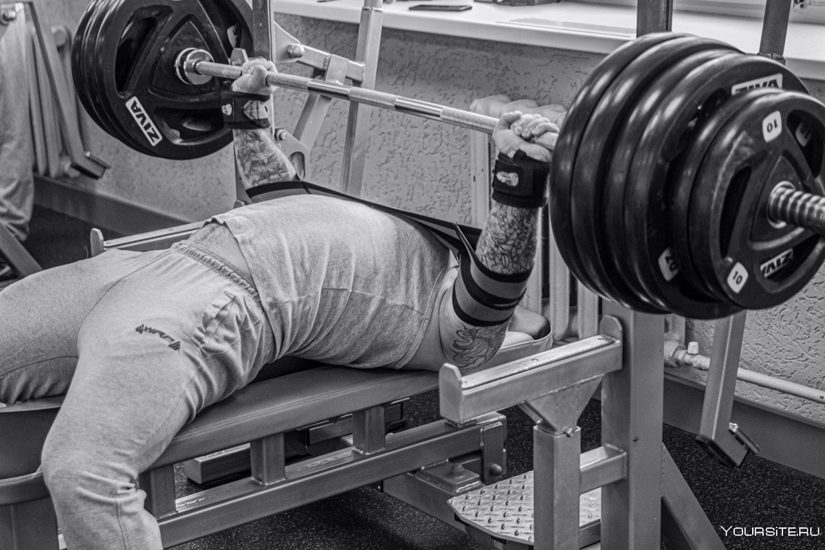 Источник фотографии: Яндекс картинки 