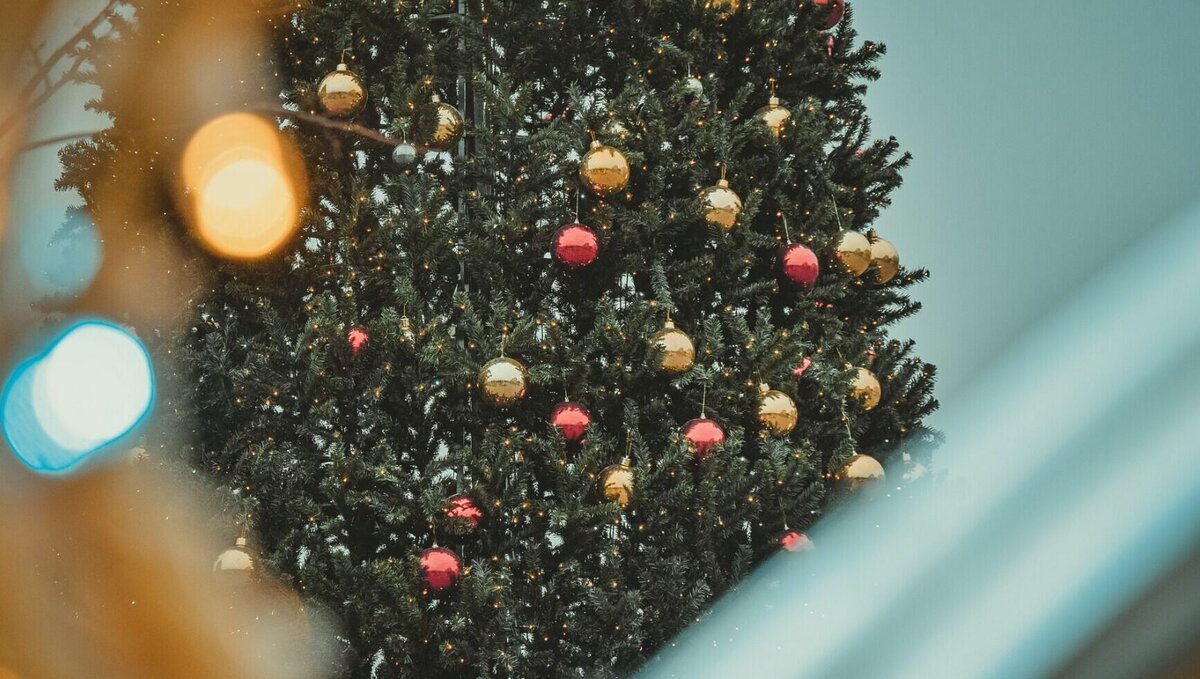     Какие направления популярны и куда выгодно слетать, в материале Муксун.fm.