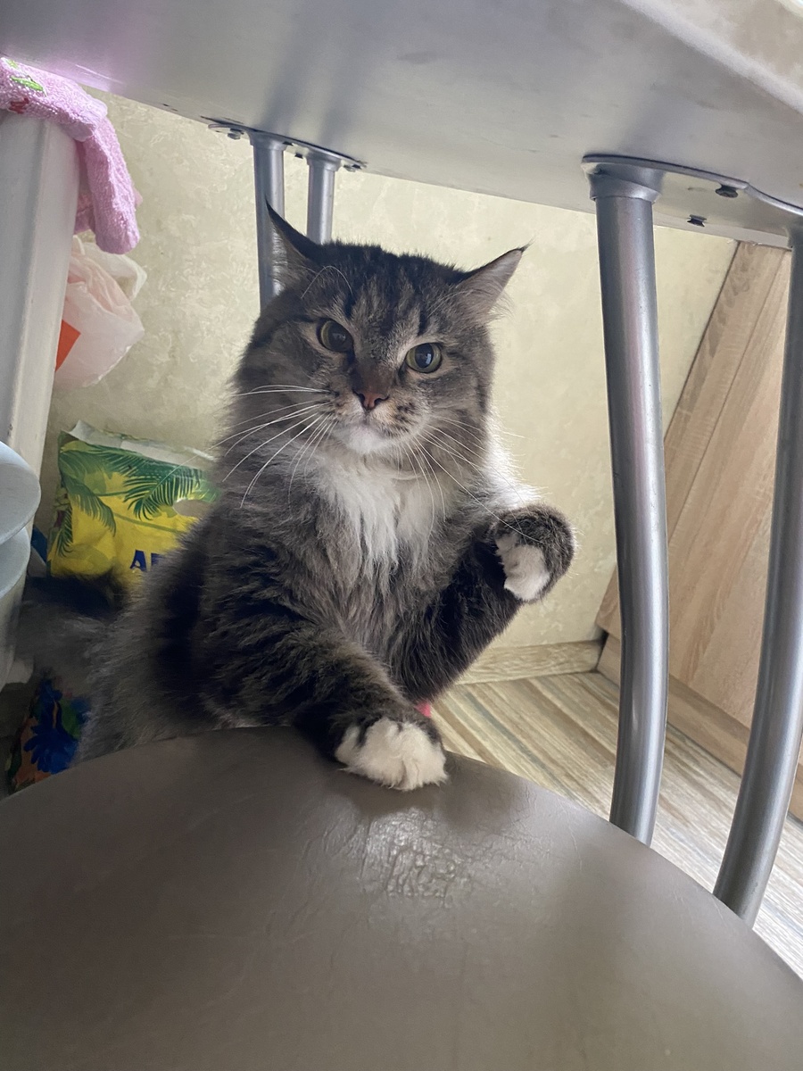 Будьте уверены им это не понравится. 