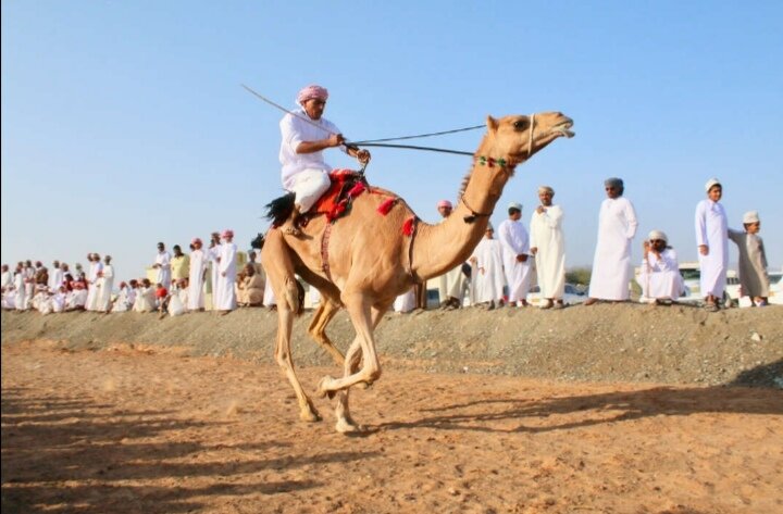 Яндекс картинки 