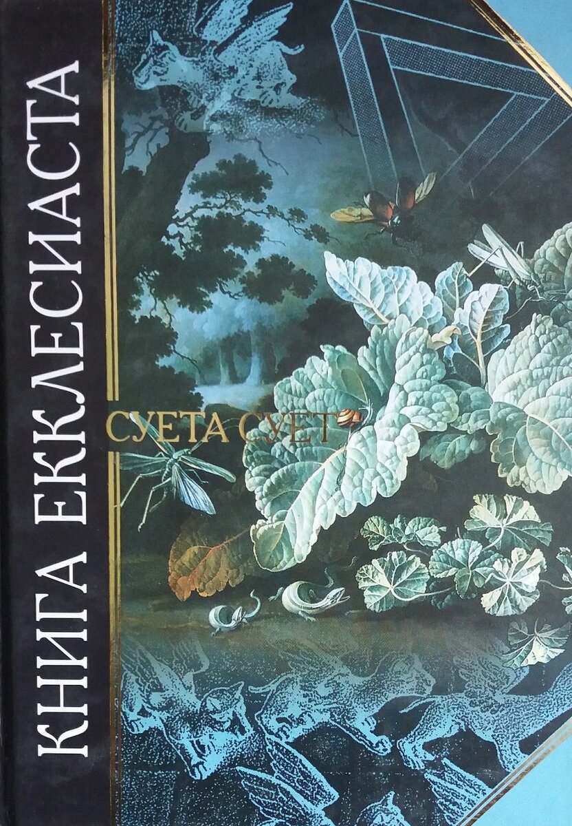 Фото взято из интернета 