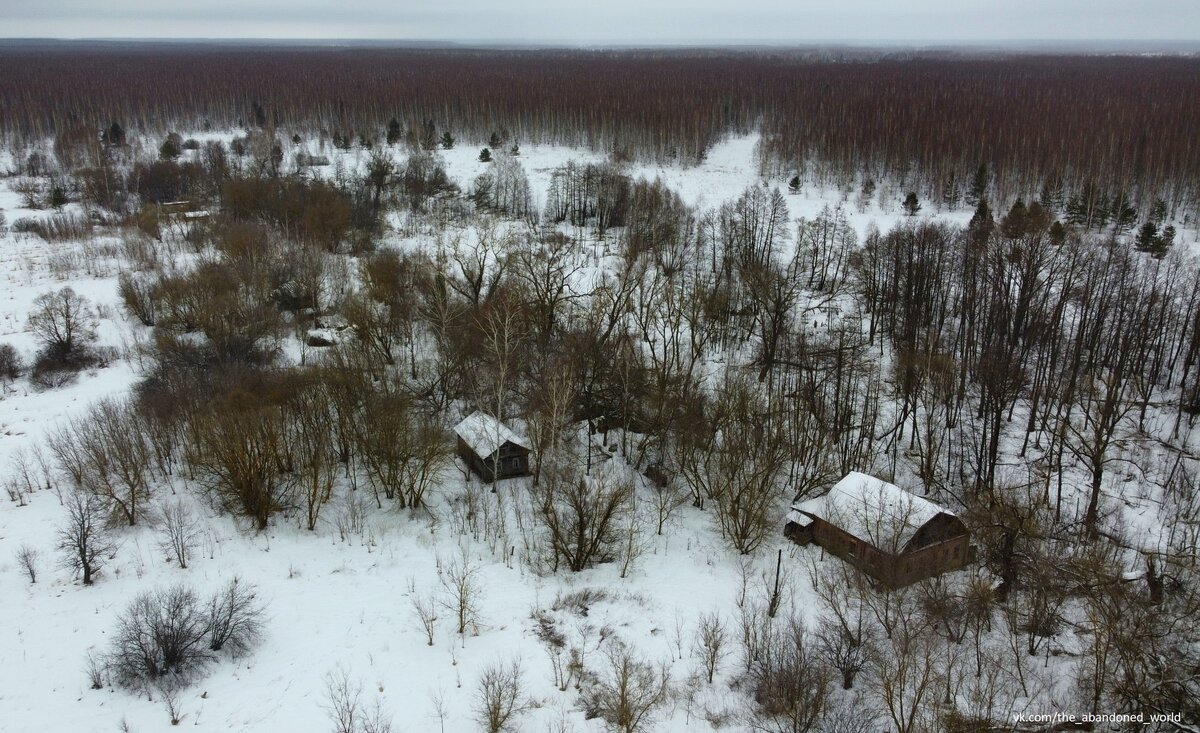 ЗАБРОШЕННАЯ ДЕРЕВНЯ МАРЬИНО | Заброшенный Мир | Дзен