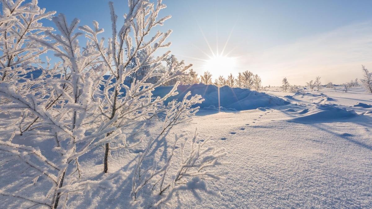    Заснеженное поле:NataliaSokko / Getty Images