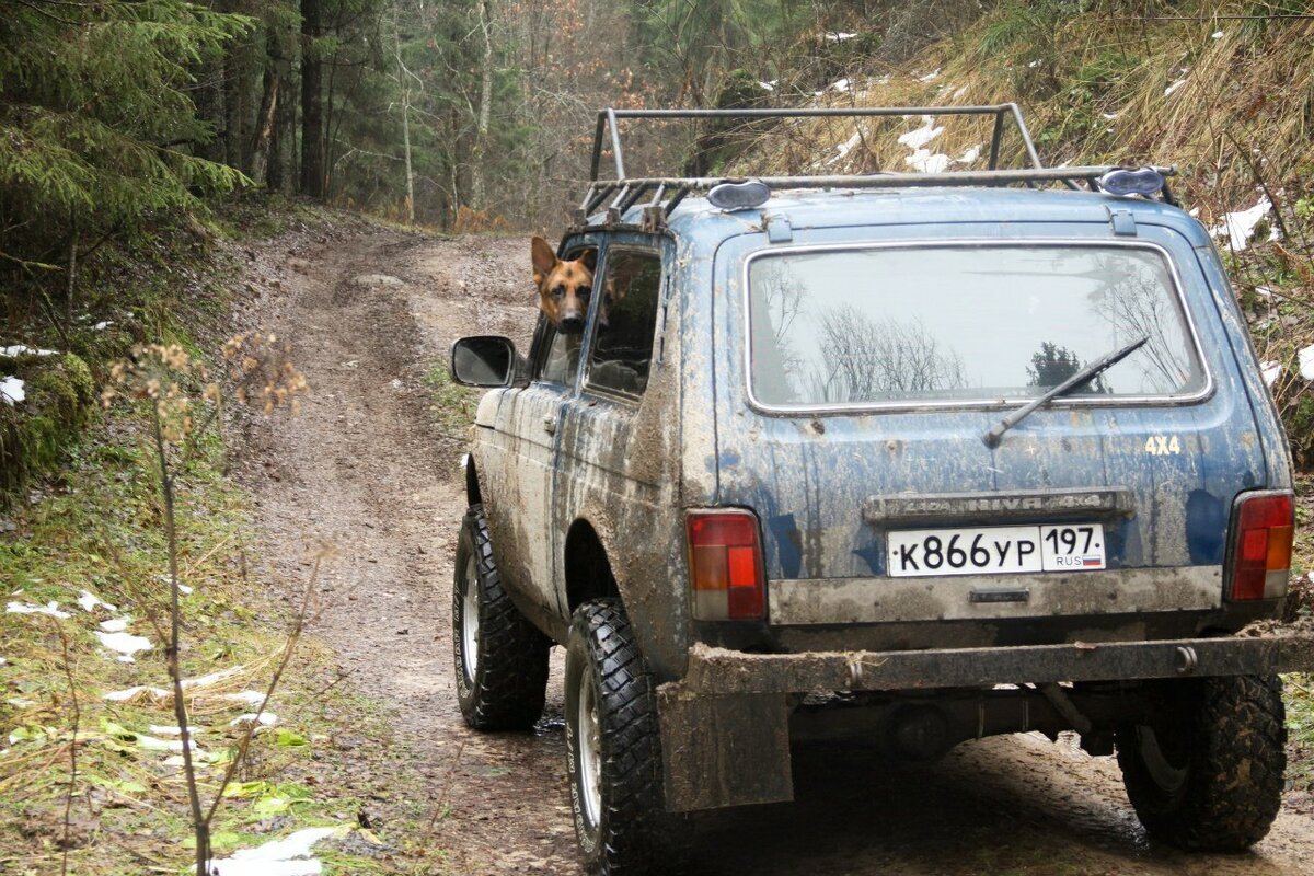 Именно эта машина.
