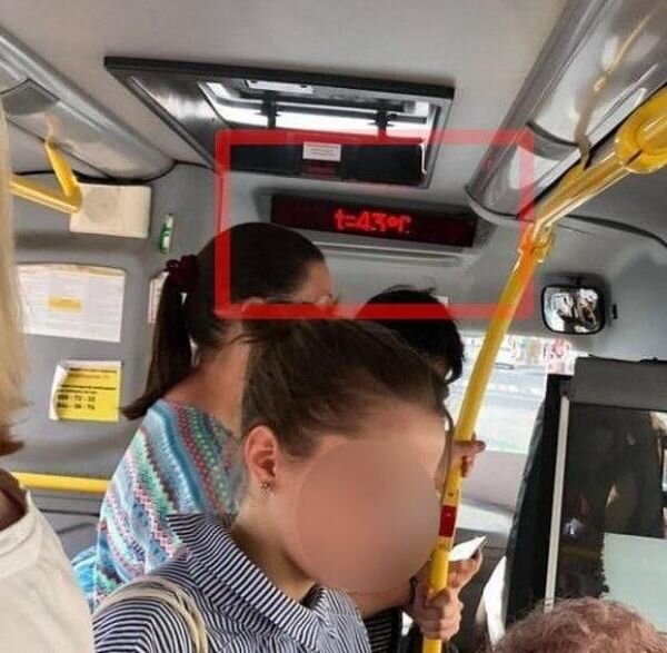 Источник фото: Ростов-Главный