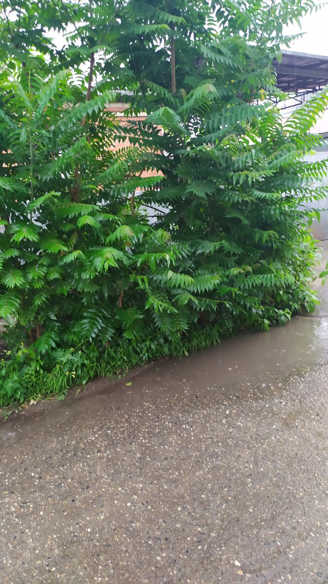 По дороге на работу