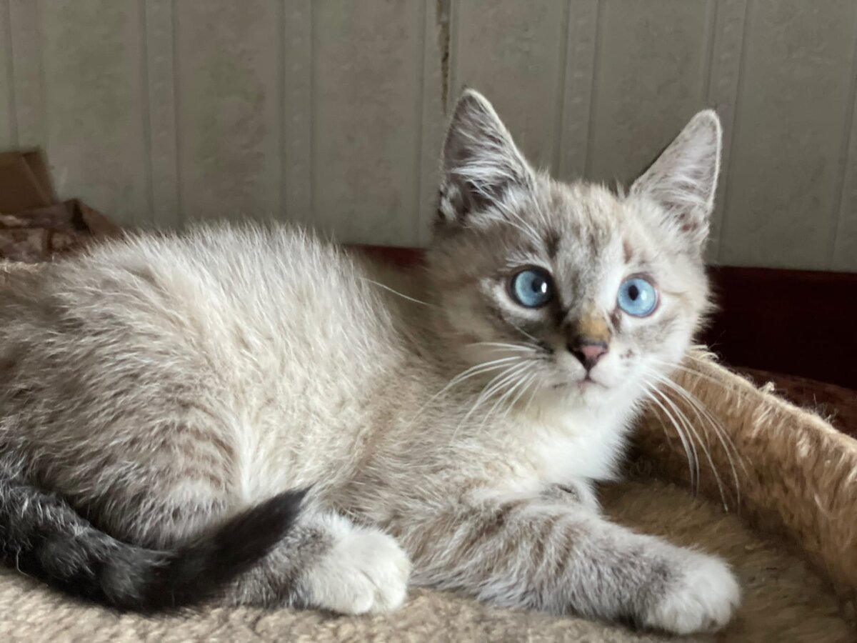 Малыш с овощебазы