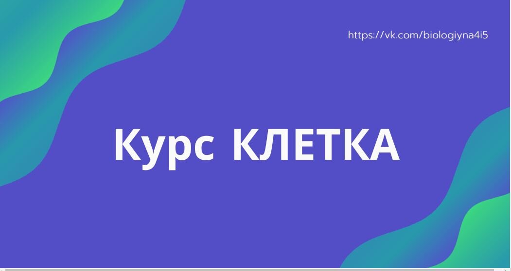 С чего начать подготовку к ЕГЭ по биологии? С курса КЛЕТКА - бесспорно верный вариант