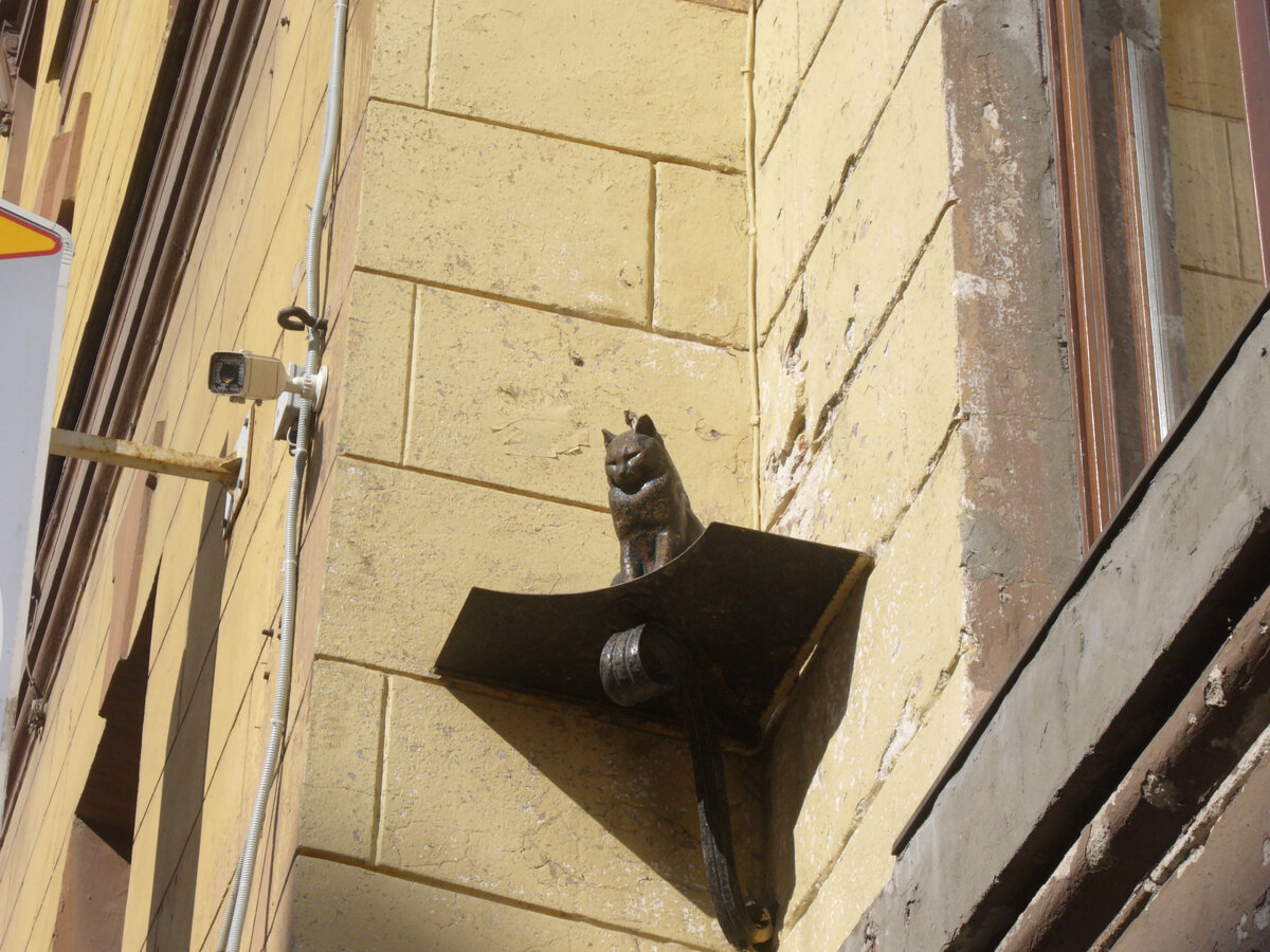 Кот Елисей (фото из личного архива)