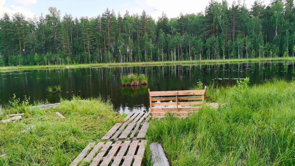 Все фото канала