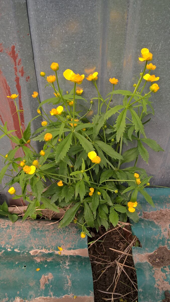 Жизнь - это ВАШ прекрасный Сон, в котором Вы можете проснуться и управлять им.