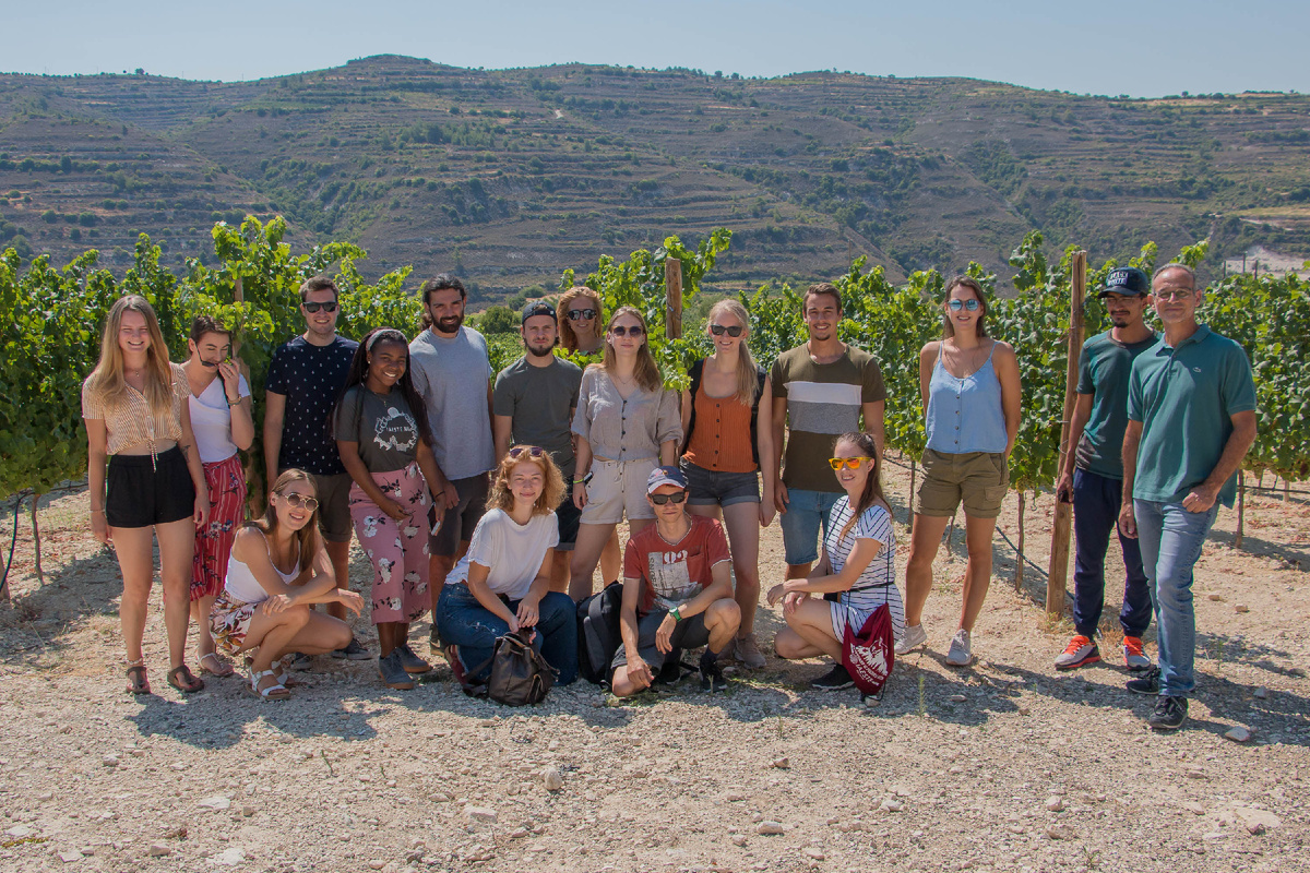 Это винодельня