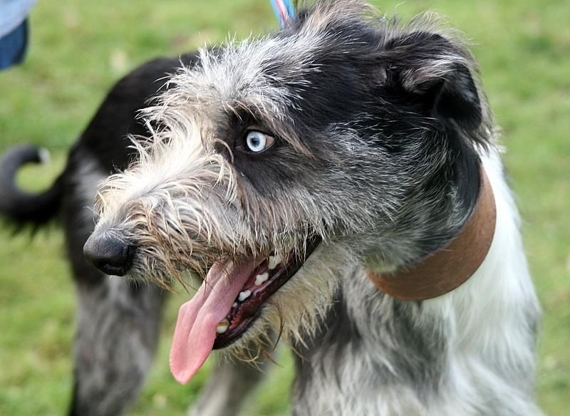 Твои глаза такие чистые, как небо! 